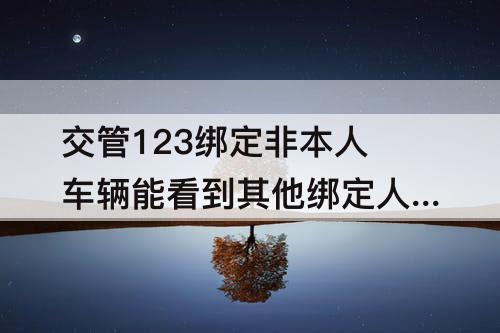 交管123绑定非本人车辆能看到其他绑定人吗?