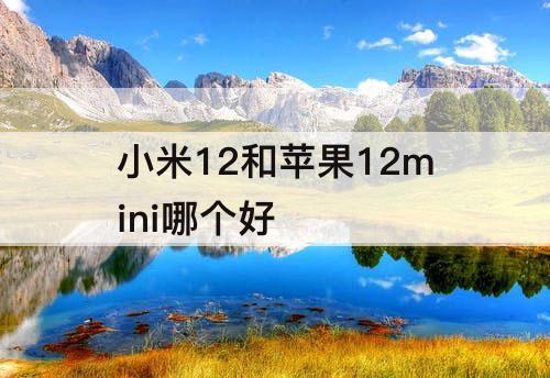 小米12和苹果12mini哪个好