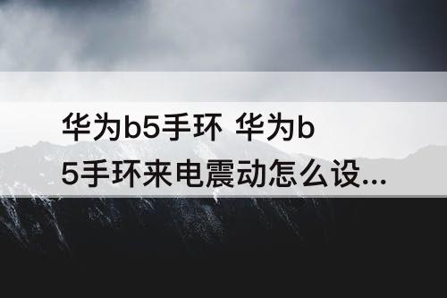 华为b5手环 华为b5手环来电震动怎么设置