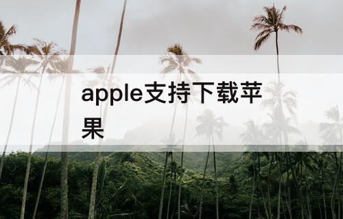 apple支持下载苹果