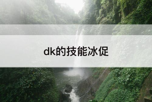 dk的技能冰促