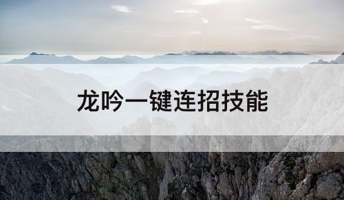 龙吟一键连招技能