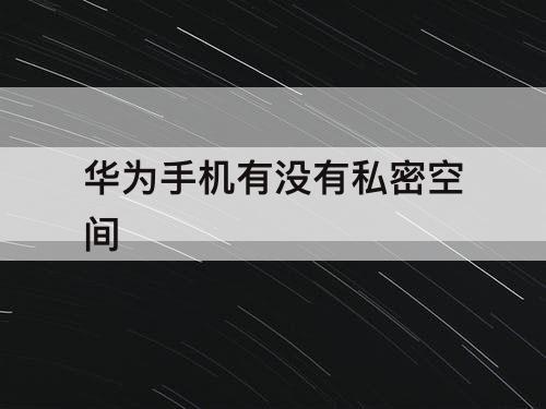 华为手机有没有私密空间