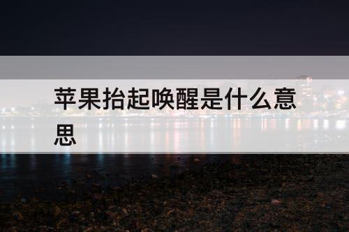 苹果抬起唤醒是什么意思