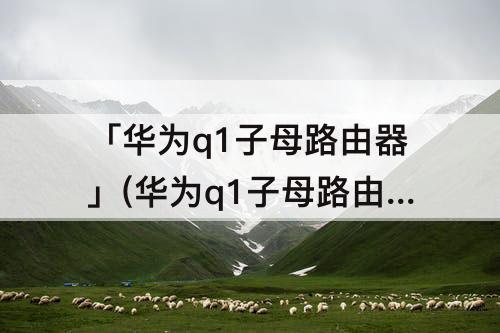 「华为q1子母路由器」(华为q1子母路由器设置防蹭网)