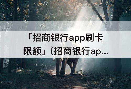 「招商银行app刷卡限额」(招商银行app刷卡限额怎么调整)