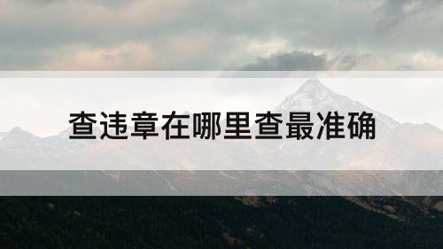查违章在哪里查最准确