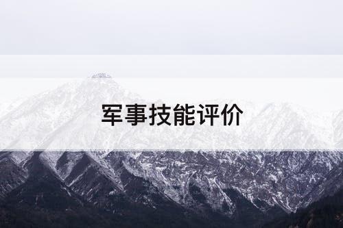 军事技能评价