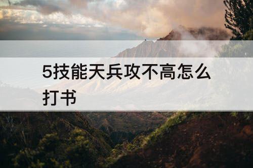 5技能天兵攻不高怎么打书
