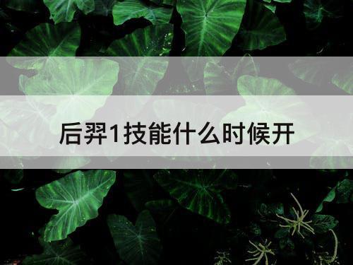后羿1技能什么时候开