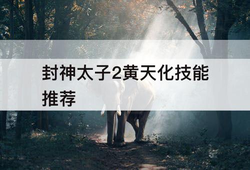 封神太子2黄天化技能推荐