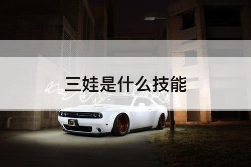 三娃是什么技能