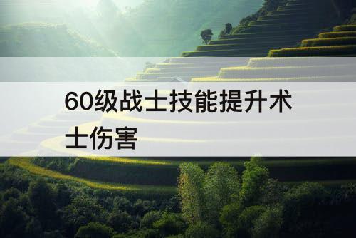 60级战士技能提升术士伤害