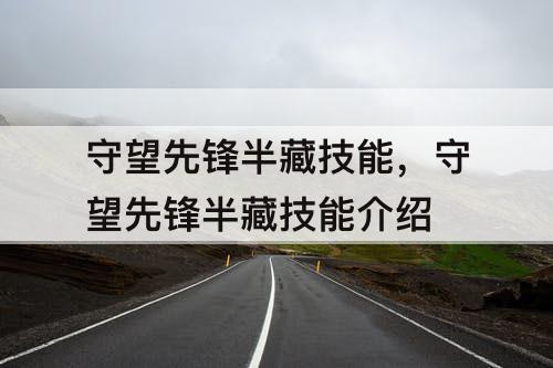 守望先锋半藏技能，守望先锋半藏技能介绍