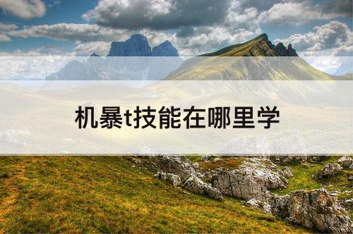 机暴t技能在哪里学