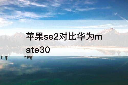 苹果se2对比华为mate30