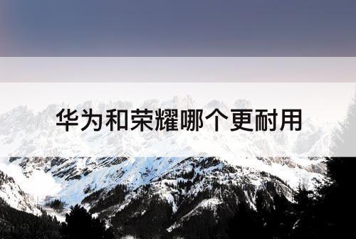 华为和荣耀哪个更耐用