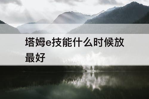 塔姆e技能什么时候放最好