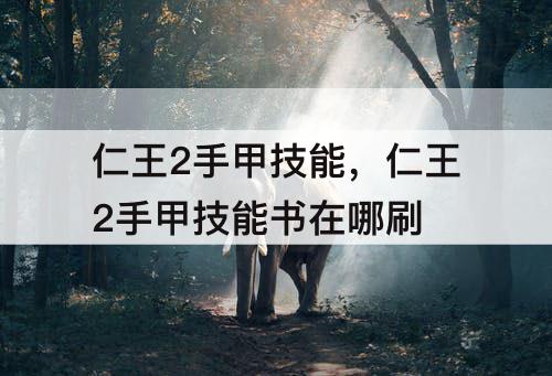 仁王2手甲技能，仁王2手甲技能书在哪刷