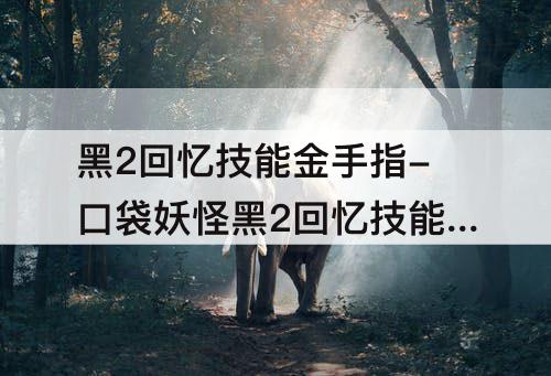 黑2回忆技能金手指-口袋妖怪黑2回忆技能金手指