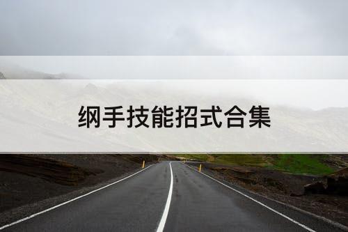 纲手技能招式合集
