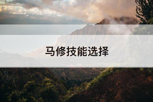 马修技能选择