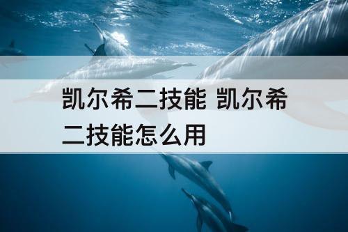 凯尔希二技能 凯尔希二技能怎么用