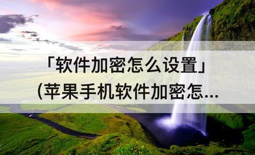 「软件加密怎么设置」(苹果手机软件加密怎么设置x)
