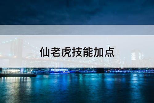 仙老虎技能加点