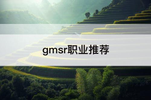 gmsr职业推荐