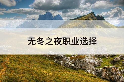 无冬之夜职业选择