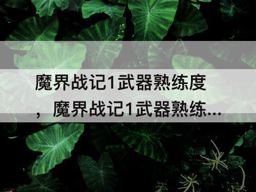 魔界战记1武器熟练度，魔界战记1武器熟练度a与b