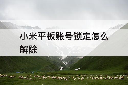 小米平板账号锁定怎么解除