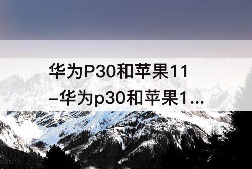 华为P30和苹果11-华为p30和苹果11哪个更值得购买