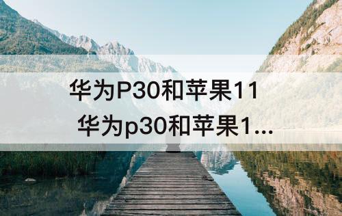 华为P30和苹果11 华为p30和苹果11哪个拍照效果好