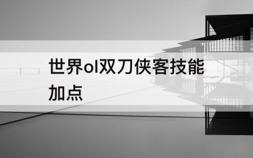 世界ol双刀侠客技能加点