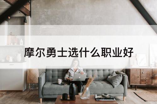摩尔勇士选什么职业好