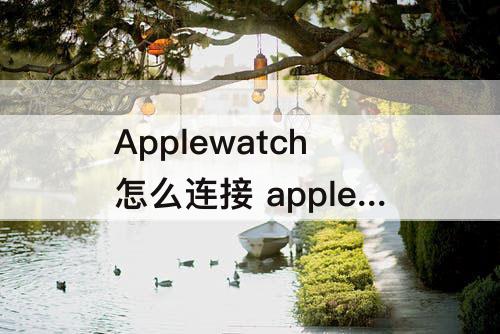 Applewatch怎么连接 applewatch怎么连接校园网认证