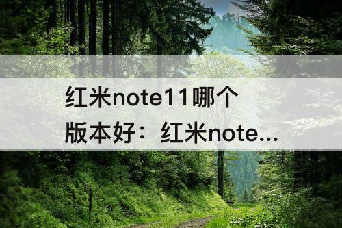 红米note11哪个版本好：红米note11哪个版本好用