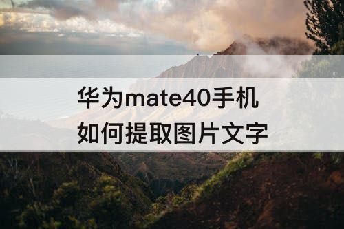 华为mate40手机如何提取图片文字