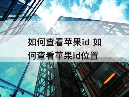 如何查看苹果id 如何查看苹果id位置