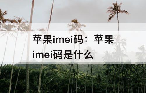 苹果imei码：苹果imei码是什么