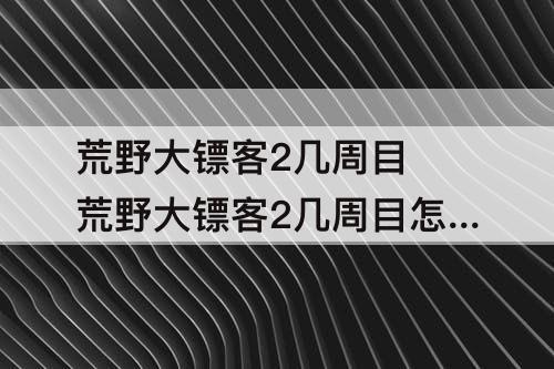 荒野大镖客2几周目 荒野大镖客2几周目怎么看
