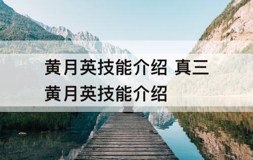 黄月英技能介绍 真三黄月英技能介绍