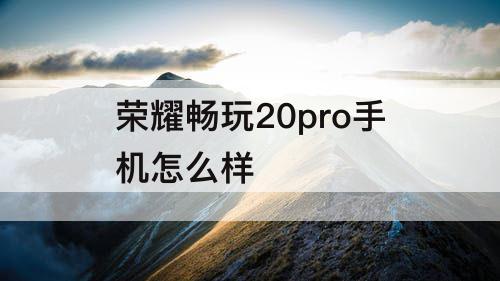 荣耀畅玩20pro手机怎么样