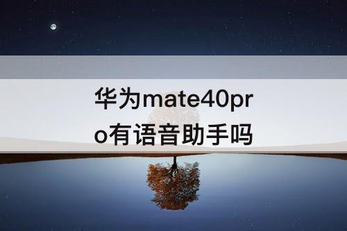 华为mate40pro有语音助手吗