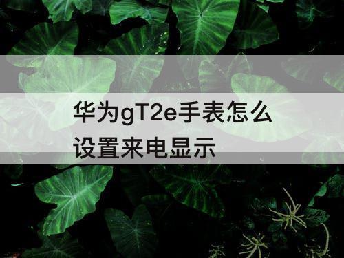 华为gT2e手表怎么设置来电显示