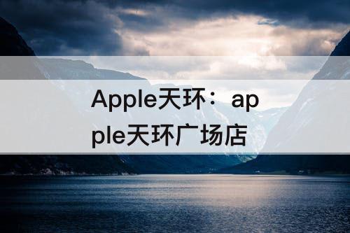 Apple天环：apple天环广场店