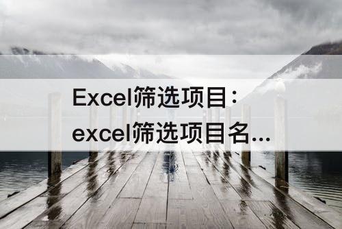 Excel筛选项目：excel筛选项目名称