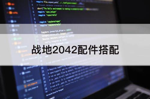 战地2042配件搭配